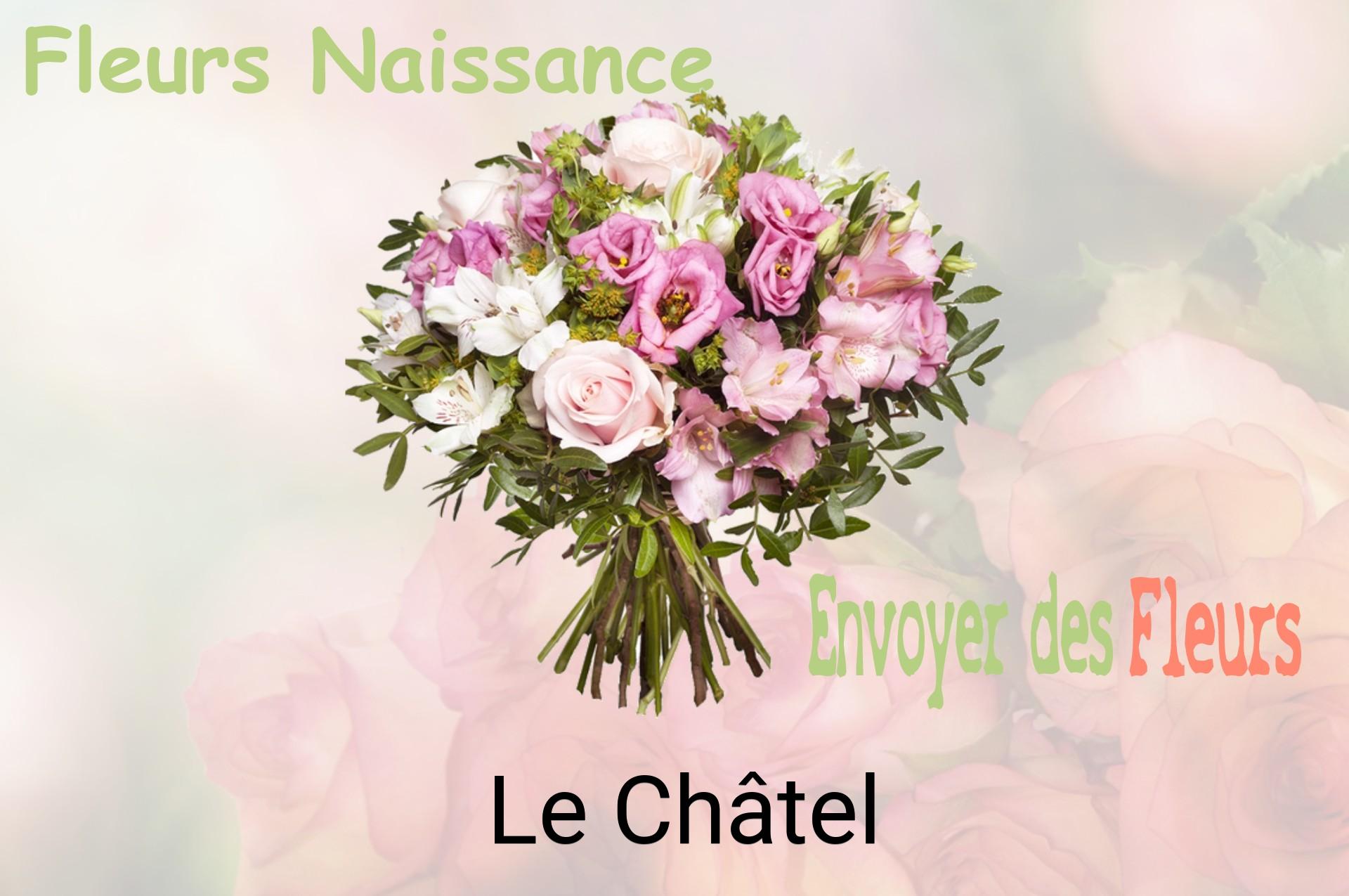 Bouquet de fleurs de naissance livré à Le Châtel